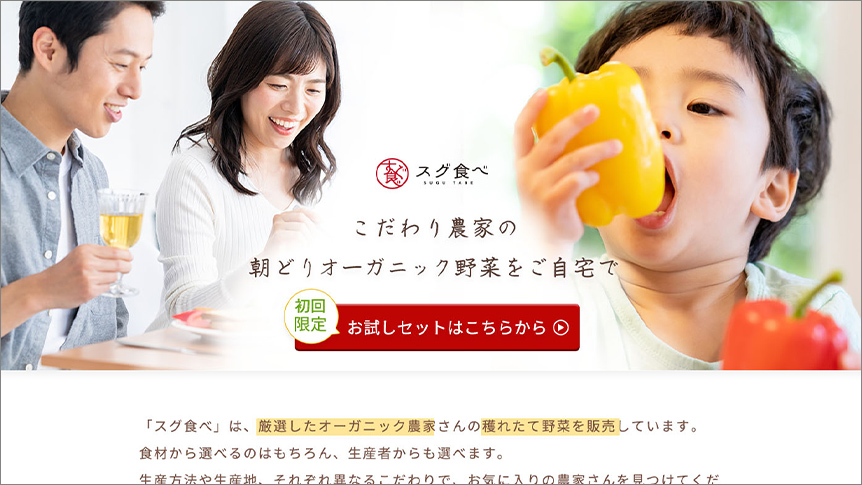 オーガニック野菜の通販サイト イメージ1