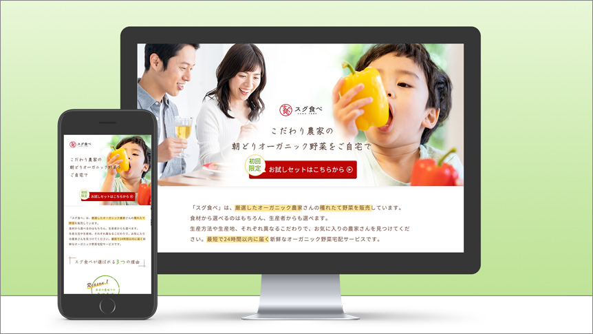 オーガニック野菜の通販サイト イメージ4